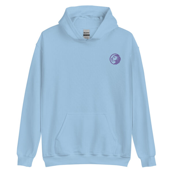 Boulevard Society embroided light blue hoodie