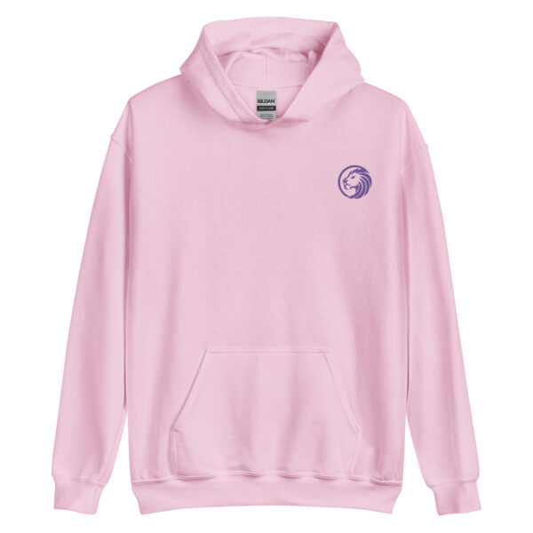 Boulevard Society embroided light pink hoodie